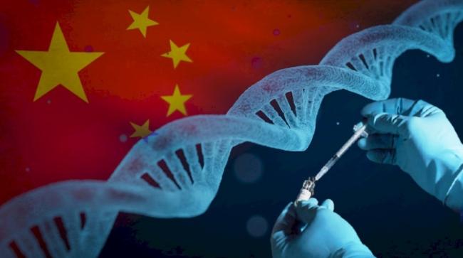 中国政府正在建立世界最大DNA数据库