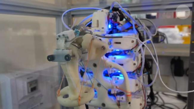 毛骨悚然 科学家在机器人骨架上培养活细胞