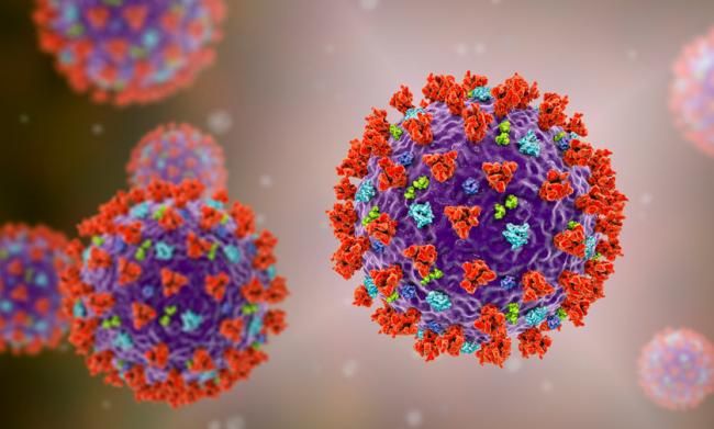 重磅：两份科学研究认定新冠病毒始于武汉市场
