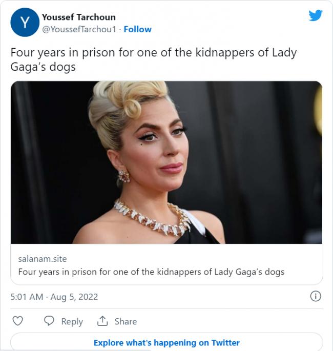 Lady Gaga爱犬失窃 劫匪遭判刑4年