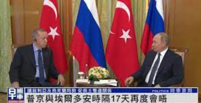 普京时隔17天再会土耳其总统 要谈些什么？