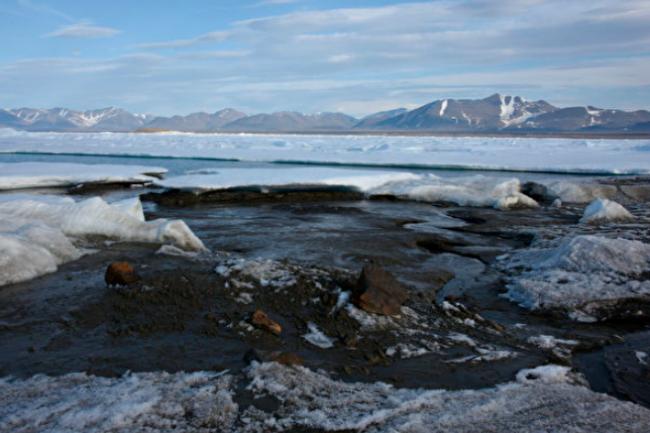 对抗中共垄断 加拿大公司买格陵兰稀土勘探权
