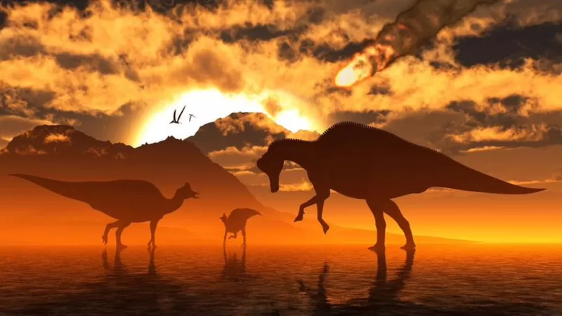 哺乳动物如何熬过恐龙灭绝后的末日世界
