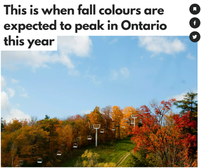 加拿大今秋赏枫就在这时候 色彩斑斓美翻了
