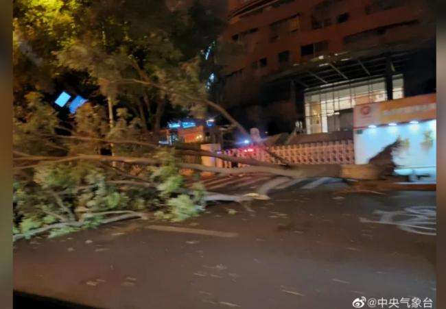 北京刮起诡异大风 树木被吹倒、航班大量取消