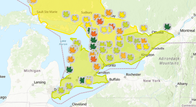 秋色地图公布 一张图带你看懂多伦多去哪里赏枫