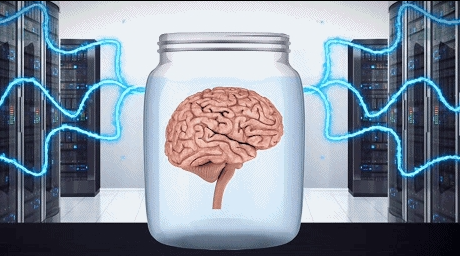 科学家挖一小碟人脑教打游戏：5分钟上手碾压AI