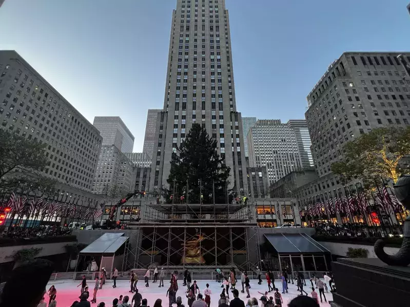 节日气氛浓 洛克菲勒圣诞树矗立 纽约下周迎初雪