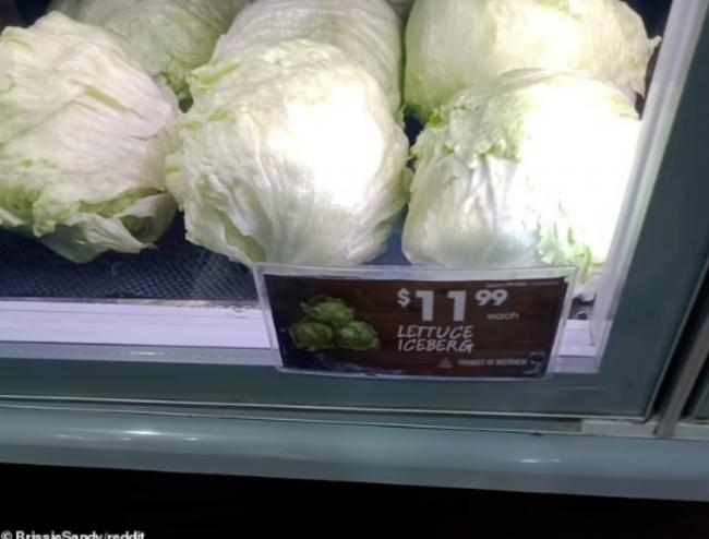 生菜每棵9元,成蔬菜里的爱马仕?食品价格涨疯了