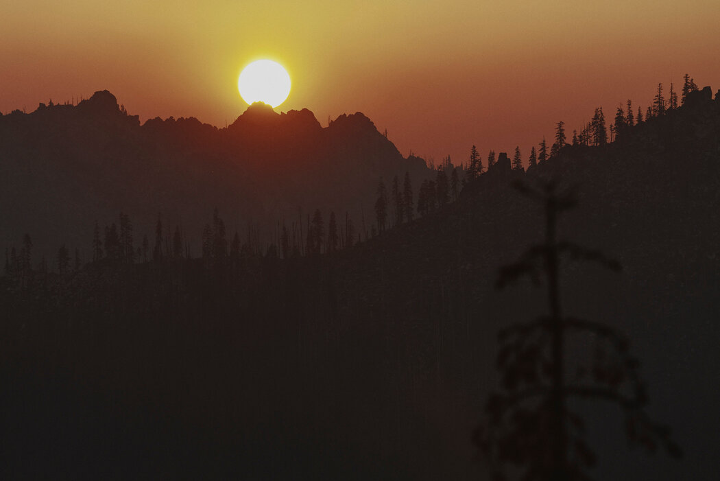 山火冒出的浓烟笼罩着加州克拉马斯国家森林。奈特说，他已经开始将人类视为最具破坏性的入侵物种。