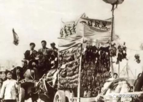 1958年上海消灭麻雀运动：580万人打死62万只