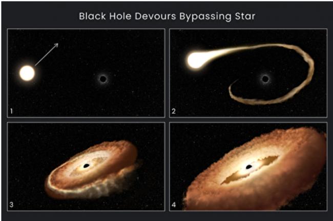 恒星被黑洞吞噬最后时刻 NASA公布震撼视频