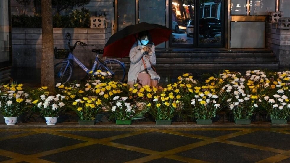 武汉春节：“今年菊花卖得好…”