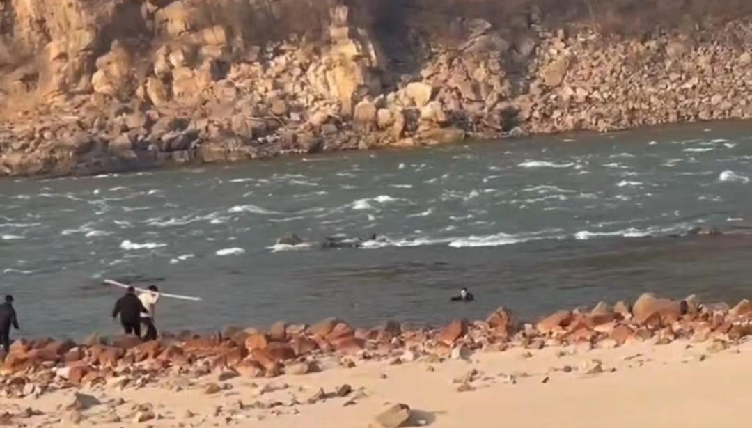 ↑岸上游客拍摄的秦佳磊游向岸边的视频截图