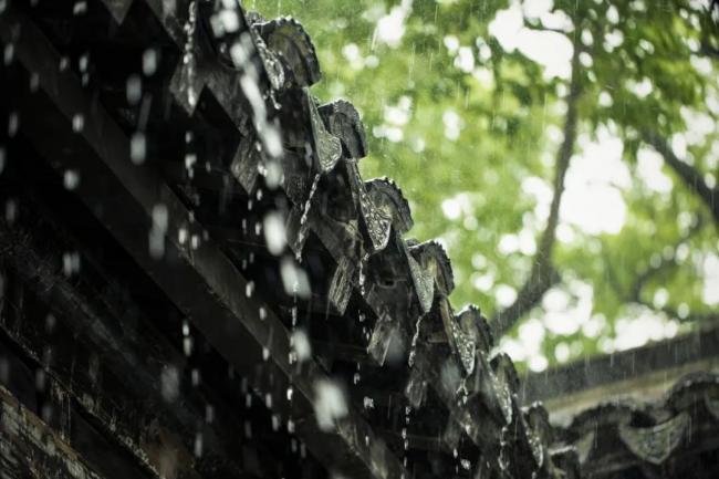 江南秋雨中，我望见了许许多多历史的轮回