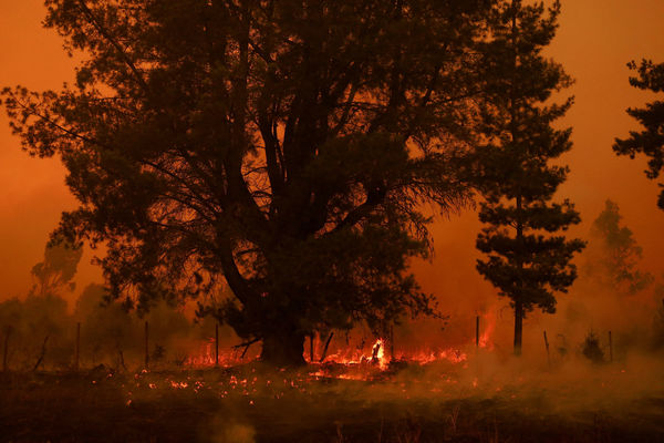 ▲▼智利受夏季热浪侵袭，4日起传出森林大火。（图／路透）