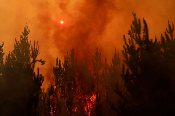 ▲▼智利受夏季热浪侵袭，4日起传出森林大火。（图／路透）