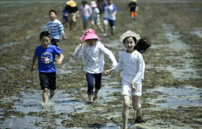 中国幼儿园“一孩难求”：首轮幼儿园关停潮已来