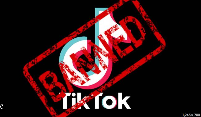 考量网络安全 加国3/1起禁止政府装置用TikTok