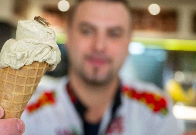 抓准民众尝鲜心理　德国推“蟋蟀风味”冰淇淋