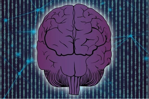 超级大脑！美科学家用8万鼠脑细胞造活体计算机