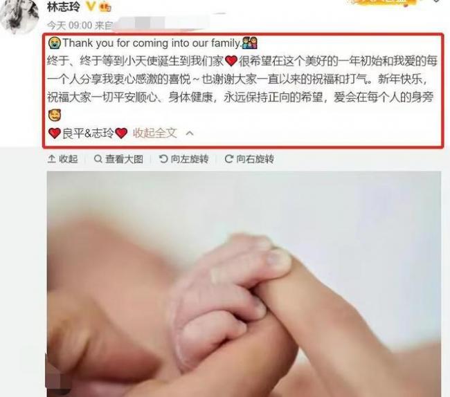 林志玲宣布不再生二胎 身体难负荷