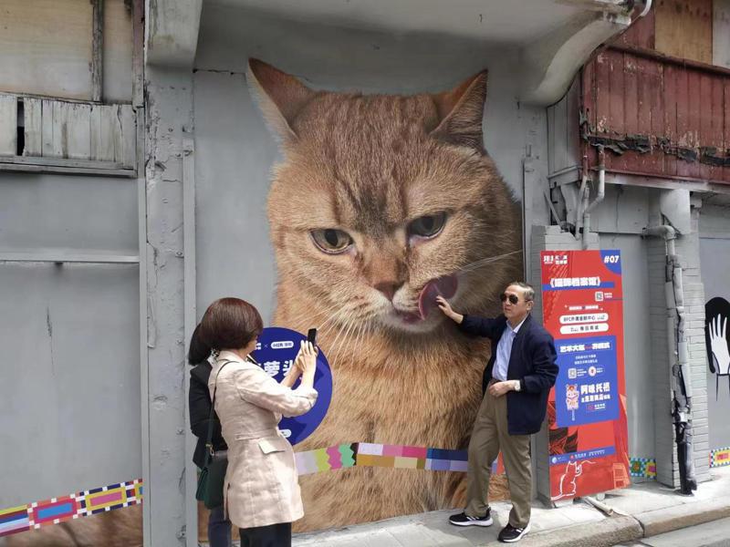 不論老中少爭相排隊跟牆上巨幅貓咪合照，甚至會擺出許多有實際觸感的姿勢，比如摸摸貓舌頭。記者黃雅慧／攝影