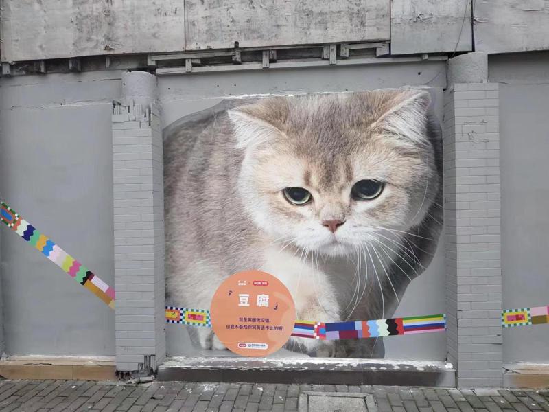 上海「外灘貓街」近期正因牆上巨大貓咪寫真吸引遊客與愛貓人士「打卡」。記者黃雅慧／...