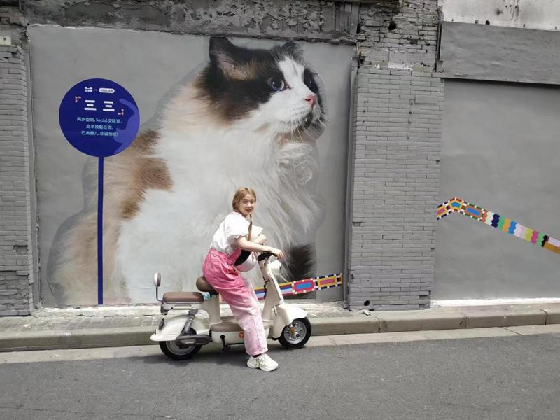 年輕網紅也自帶造型與外灘貓街的貓咪合照，創造屬於自己的沙龍美照。記者黃雅慧／攝影