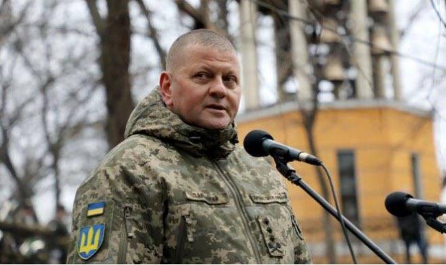 乌军总司令重伤需开脑手术  假新闻！