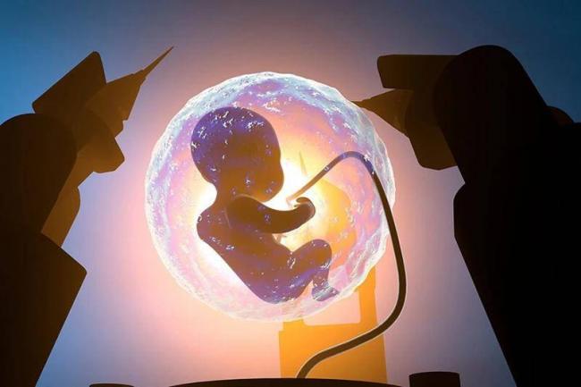 人造子宫年产3万婴儿，300多个基因可定制