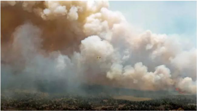 美国南非300名消防员来加拿大扑救空前大山火