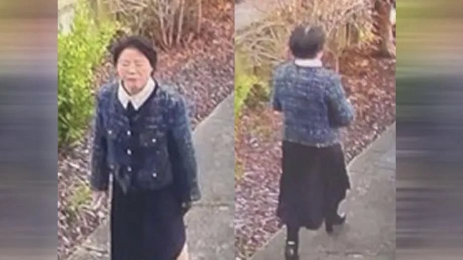 当地警方发布包燕飞（Yanfei Bao，音译）失踪前的最后身影。 NZ Police