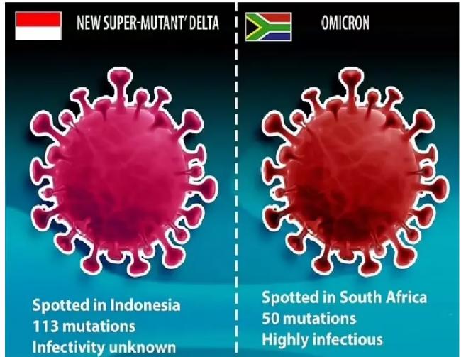 前所未见 科学家发现最多突变的新冠变种病毒