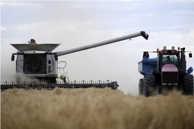 中共罕见让步：取消澳洲大麦关税