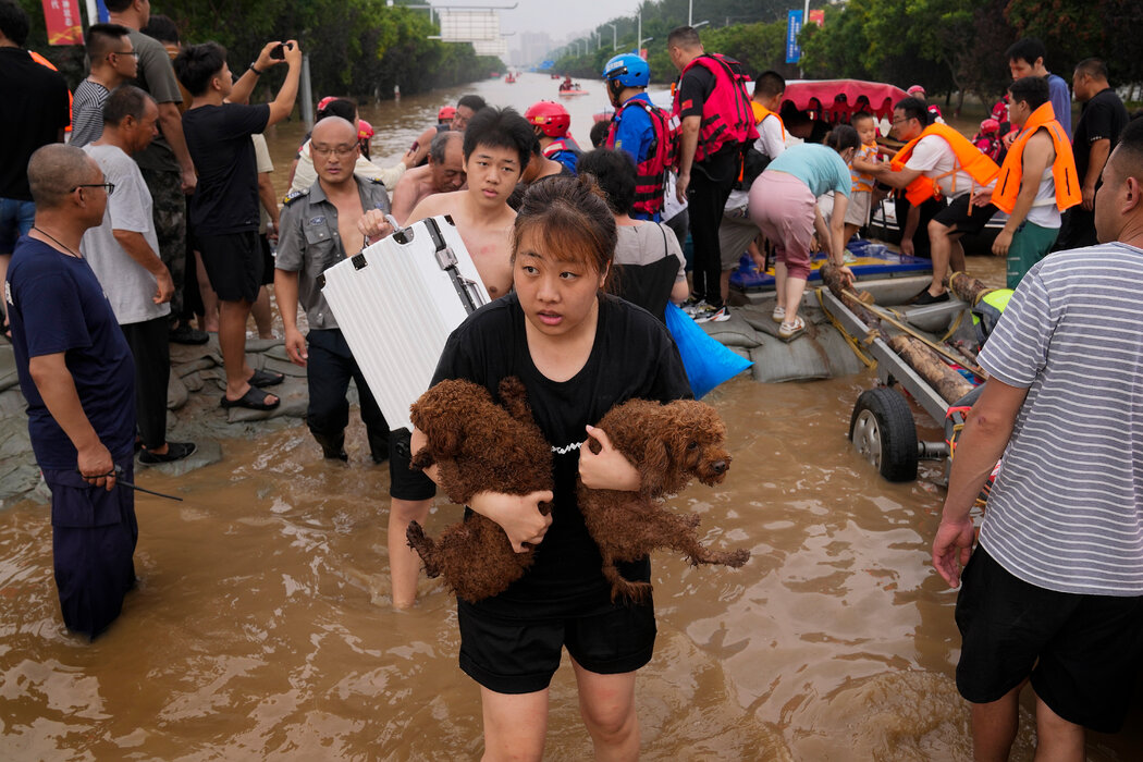 涿州居民撤离时，一名妇女抱着宠物狗。