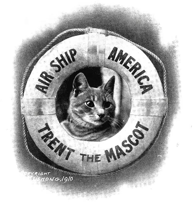 美国军舰上，人人都是吸猫狂魔