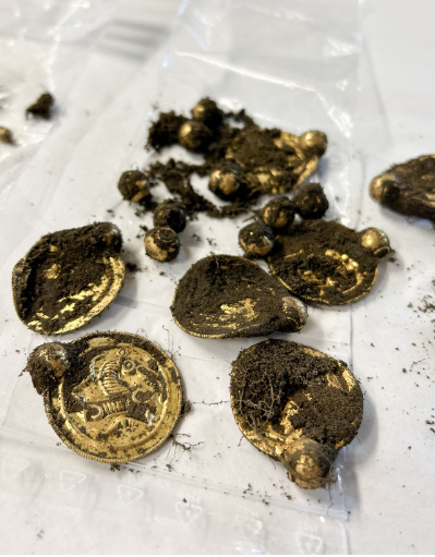 本世纪挪威规模最大的古黄金发现