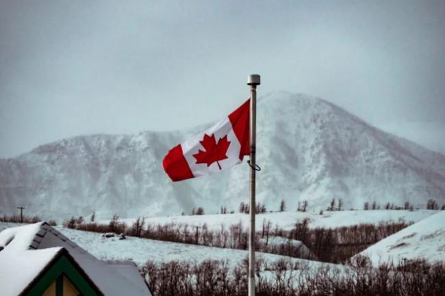 移民加拿大的人都是“躺平族”？现实你看不到