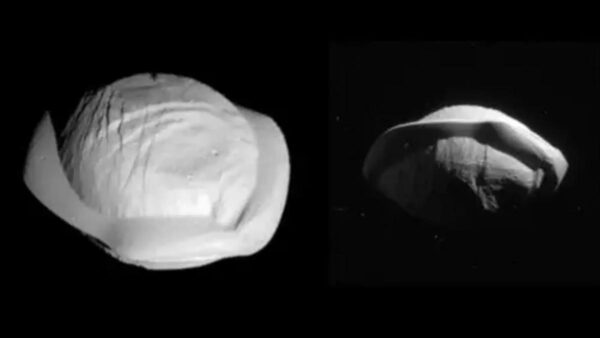 NASA公布图片 土星的卫星长得像“馄饨”