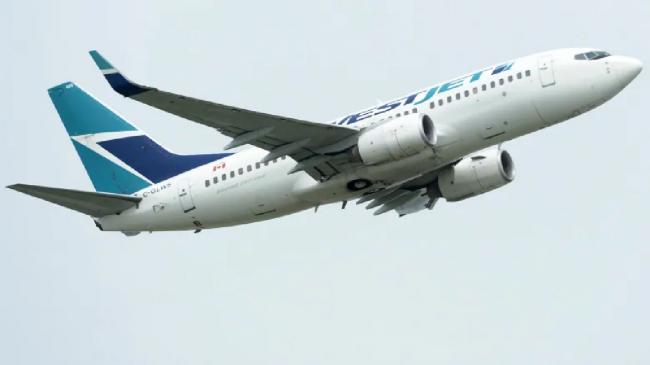 加国夫妇飞多伦多航班延误3小时 法院判赔近0