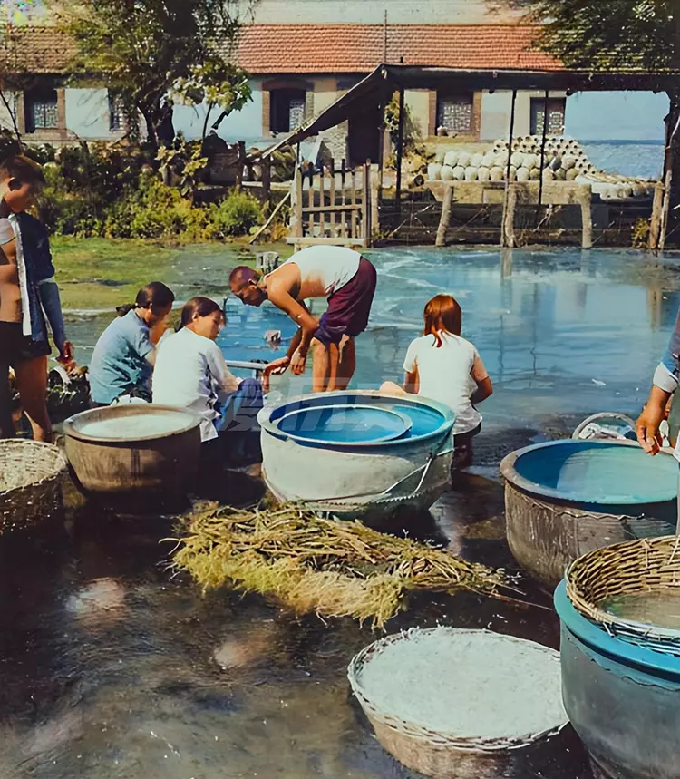 1942年的泉城济南：家家泉水，户户垂柳