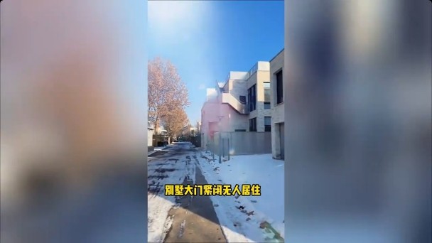 大雪覆盖心爱菜园 周海媚北京别墅一片荒凉