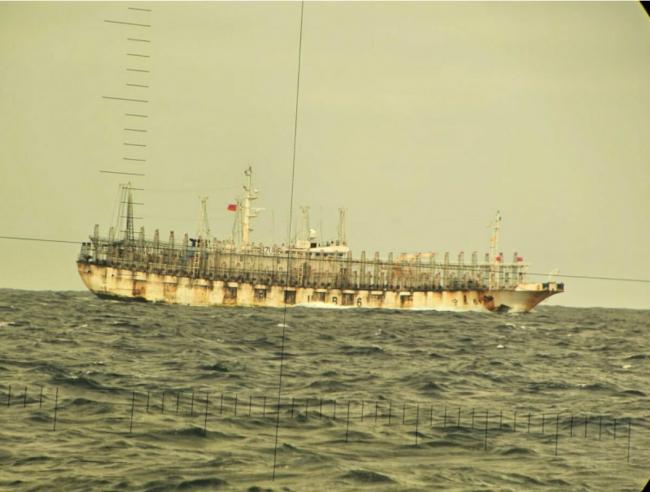 大规模中国远洋渔船南太平洋掠夺肆虐