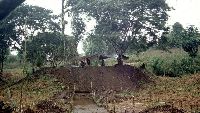 考古学家近期在亚马逊地区发现一座有数千年历史的巨大古城市遗迹，该遗迹有复杂的道路网络、住宅区和沟渠等设施，且比其他他们所知的亚马逊遗迹都还要古老。 撷取自X