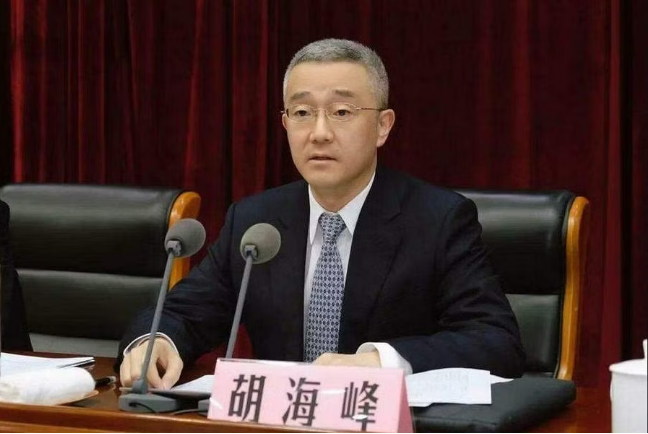 最新官宣：胡海峰为中国民政部副部长