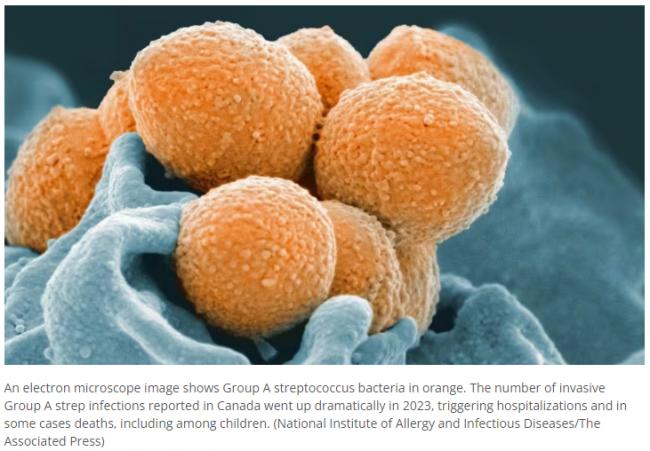 警惕！加拿大致命病菌大爆发 已有6名儿童死亡