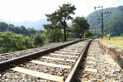 中国铁路为何寸草不生  而印度铁路却春意盎然