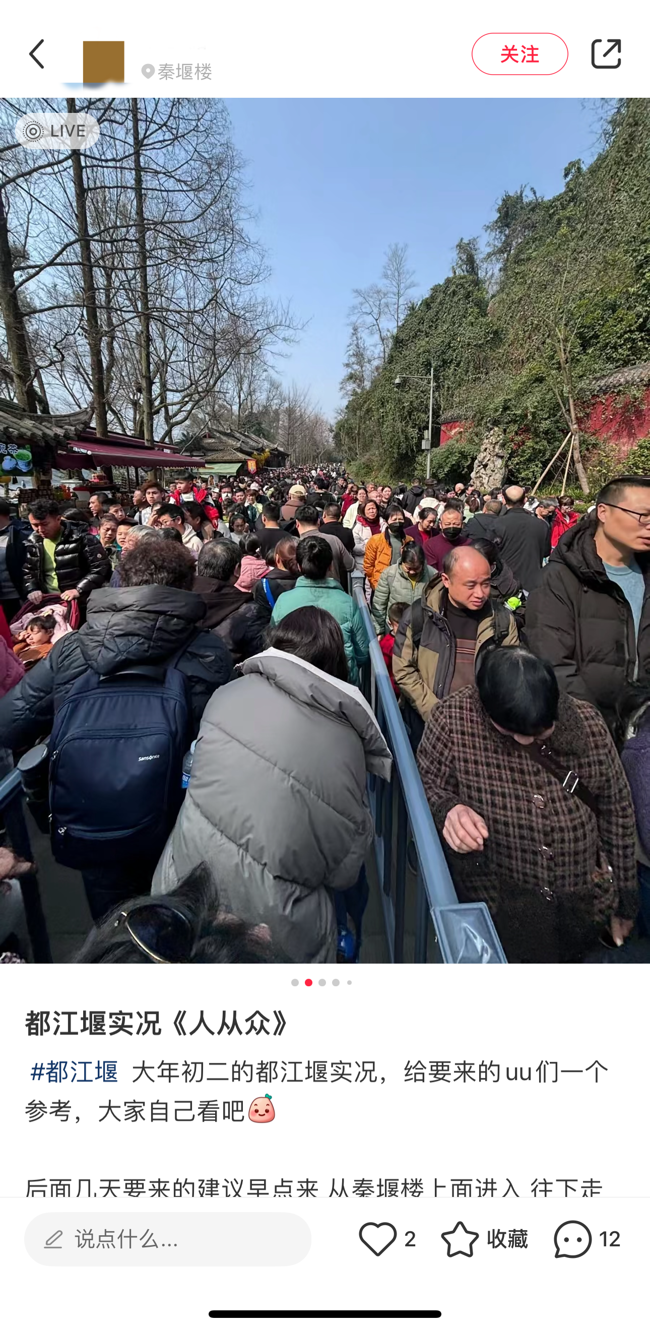 中国春节旅游再现“人从众”：景区小桥成“人桥”_图1-7