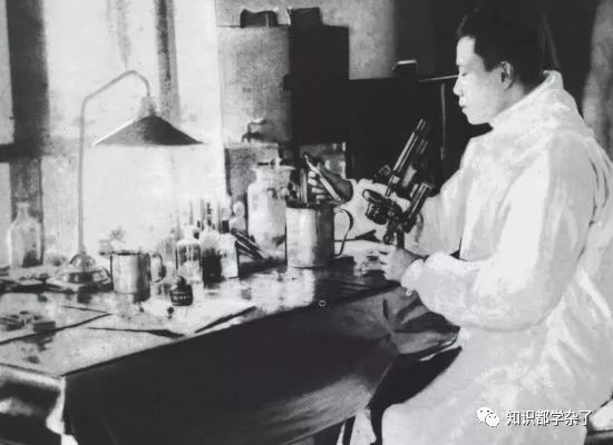 解密1910年哈尔滨鼠疫席卷大半个中国，6万人死亡！是如何被消灭的？